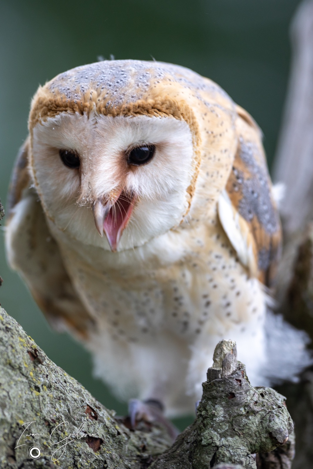 25 juni 2022 153310 1R2A0932